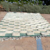 checkered rug 6x8