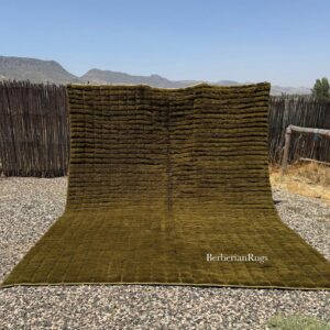 Green Moroccan Rug : 9 x 12 Feet