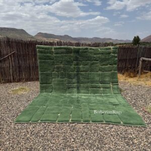 Green Moroccan Rug : 9 x 12 Feet